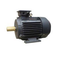 AC Squirrel Cage Motor