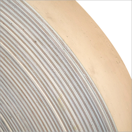 Industrial Nylon Conveyor Belt