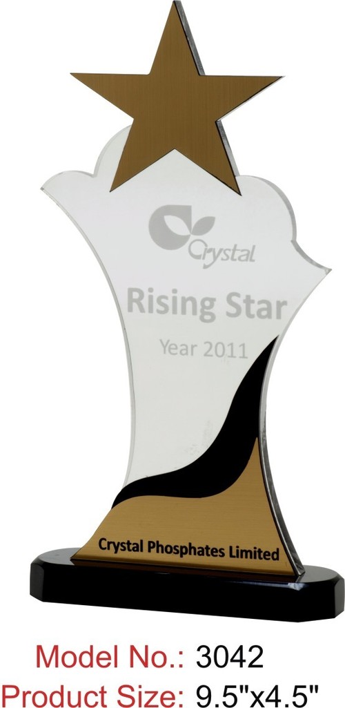 Rising Star Acrylic Trophy