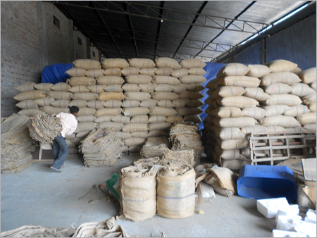 Certified Wheat Seeds