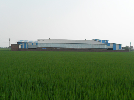 Peddy Crop + Site