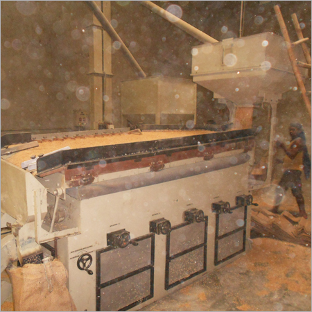Our Paddy Seed Processing Plant