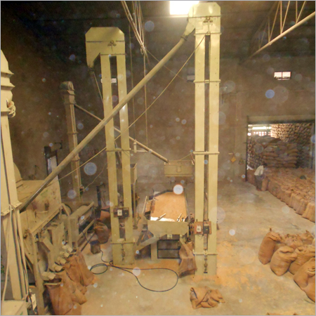 Certified Paddy Seeds Processing