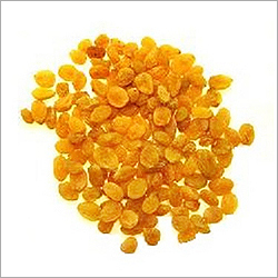 Golden Raisins