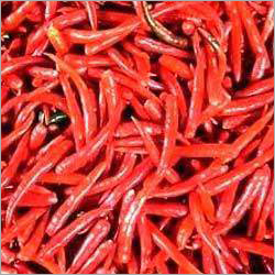 Dry Red Chili