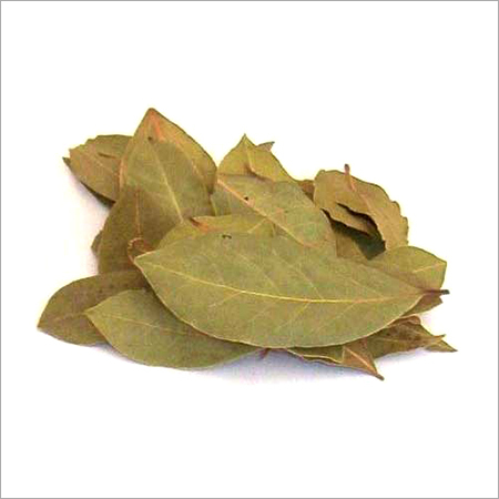 Bay Leaf