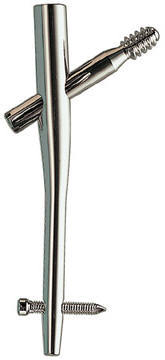 Proximal Femoral Nail