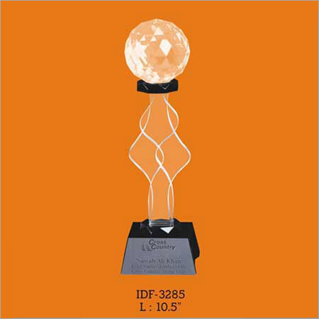 Customized Acrylic Trophy