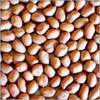 Peeled Groundnut