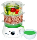 Steam Cooker