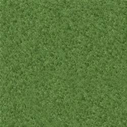 Selection No 1 Natural Lawn Grass