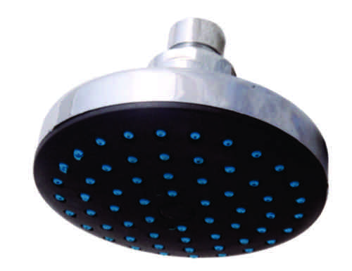Overhead Shower Victorian