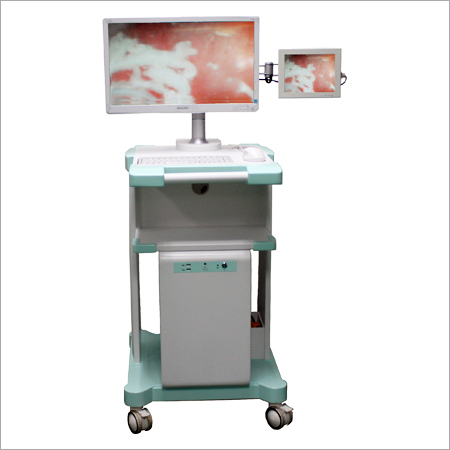 Advanced Endoscopic Workstation