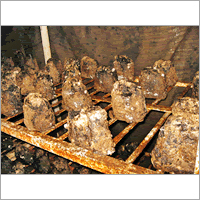 Gardening Mushroom Compost