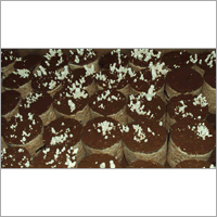 Mushroom Compost Fertilizer