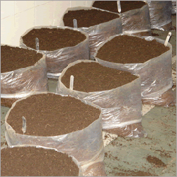 Organic Compost Fertilizer
