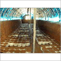 Mushroom Compost