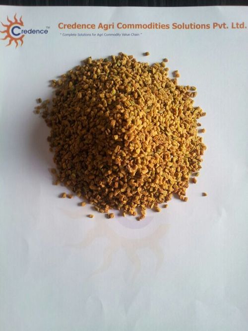 96% Pure Fenugreek Seeds At Best Price