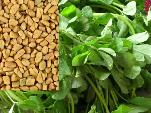 INDIAN Fenugreek Seeds