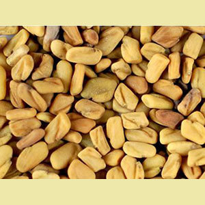 Supreme Quality Fenugreek Seeds
