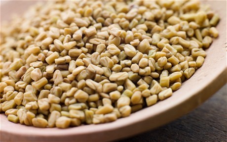 Prime Quality Fenugreek Seeds - Light Yellow, 99% Purity, 1.25% Acid Insoluble Ash, 9% Ash Content | High Purity, Rich Aroma, Natural Flavor, Moisture 5-6%, Salmonella Absent