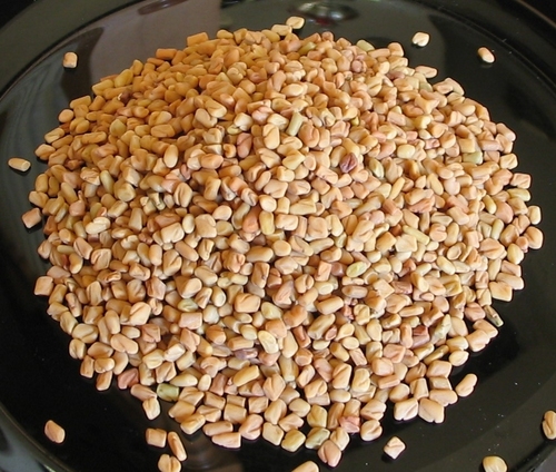 Standard Quality Fenugreek Seeds - Yellowish Brown, Purity 96%-99%, Acid Insoluble Ash 1.25% | High Purity, Natural Spice, Culinary Uses, Consistent Quality