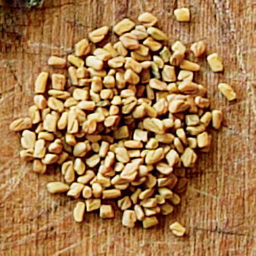 Best Quality Machine Clean Fenugreek Seeds