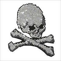 Sequin Embroidery Fabric