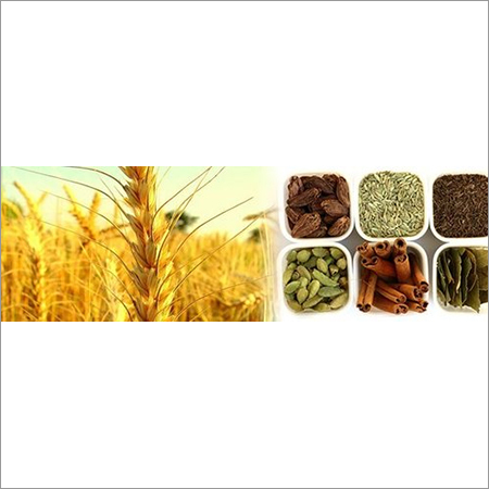Agro Food