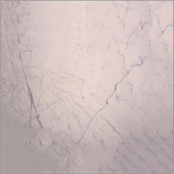 Venatino White Marble