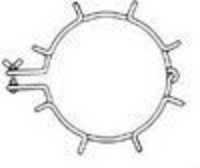 Stainless Steel Clips