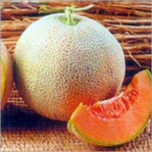 Muskmelon Seeds