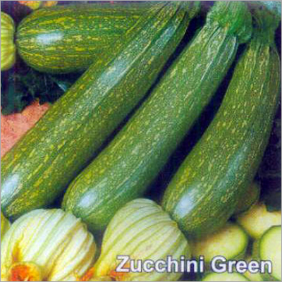 Zucchini Green Seeds