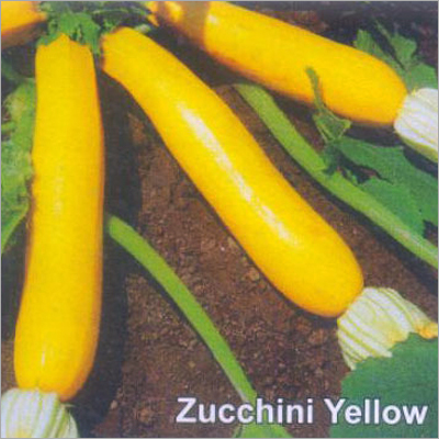 Zucchini Yellow Seeds