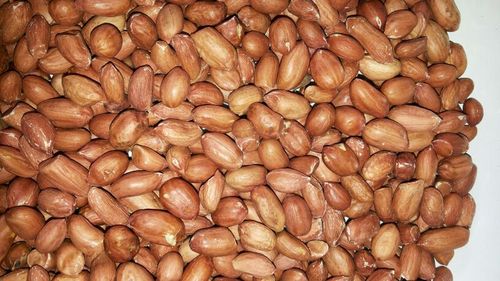 Indian Peanut Seeds At Standard Price