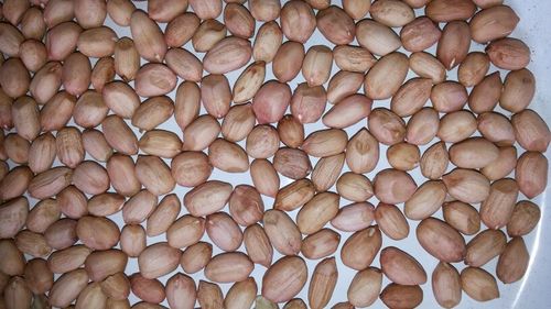 High Quality Indian Peanut Seeds At Standard Price