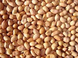 Indian Peanut Seeds Top Sellers