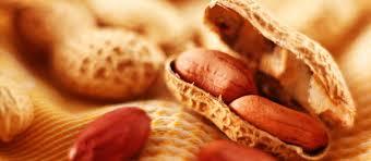 BEST SELLER OF HASTY NUT (peanut)