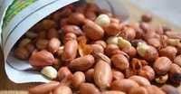 Peanut Candy Sellers Price
