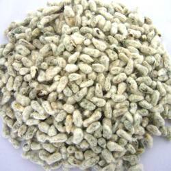 Oil Seed