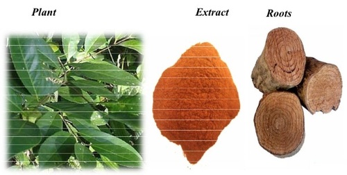 Extract And Powder