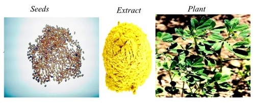 Extract And Powder