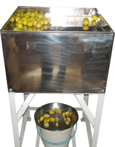 Lemon Cutting Machine