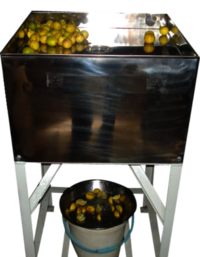 Lemon Cutting Machine