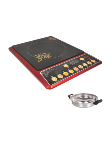 Induction Cooker with steel pot
