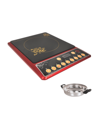 Induction Cooker with steel pot