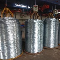 Hot Dipped Galvanized Wire