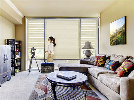 Zebra Blinds
