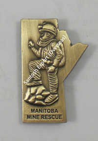 3D Lapel Pins