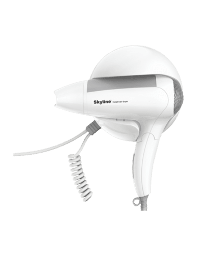 Electric Hair Dryer